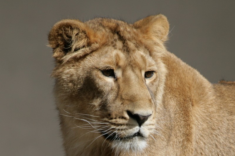 Fotoclubje Blijdorp 2008-62.jpg